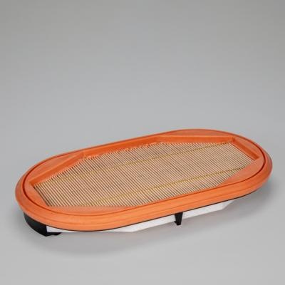 P959184 Air Filter