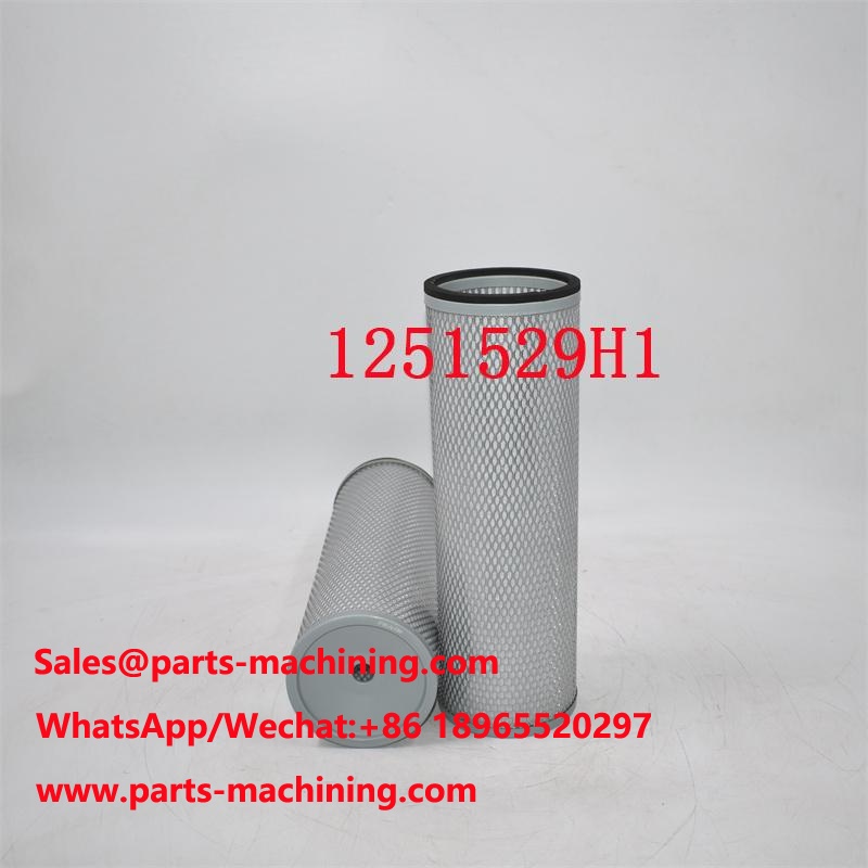 1251529H1 Air Filter