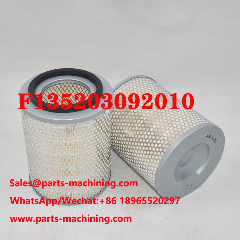 Air Filter F135203092010